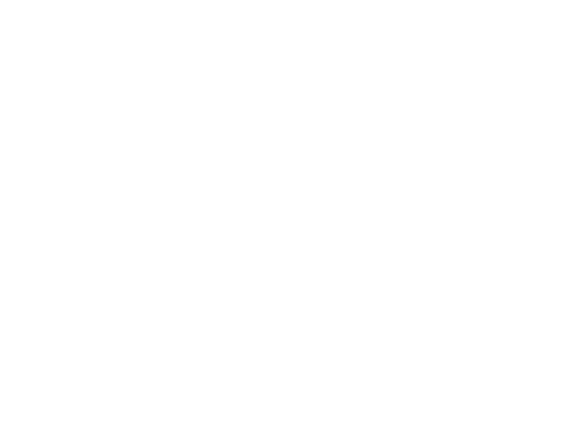 Insurances AAA