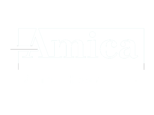 Insurances Amica2