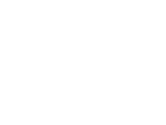 Insurances Travelers